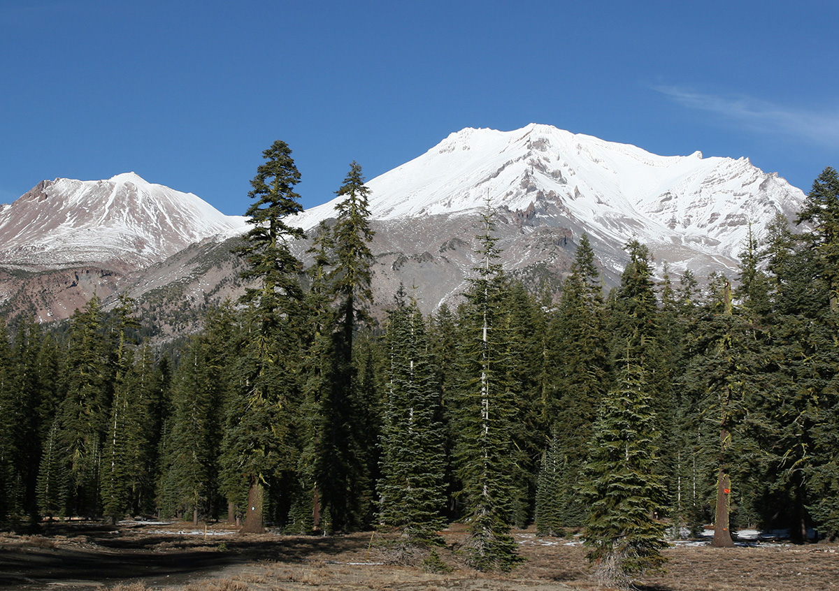 Mount Shasta Spiritual Tours